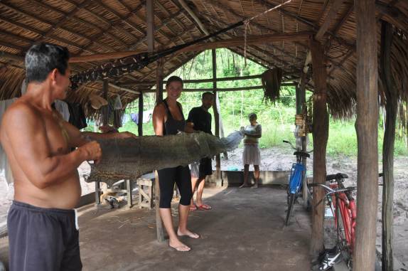 Couro de sucuri de cinco metros, na casa do Seu Luiz, na FLONA, comunidade de São Domingo, região de Alter do Chão - PA